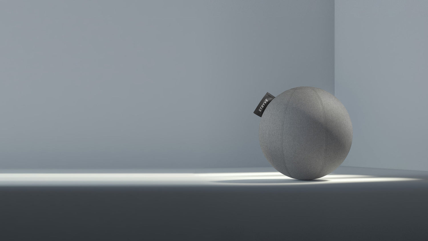 Stryve Active Ball